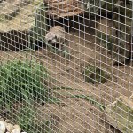 phoca_thumb_m_vlet km 14 Fotogalerie